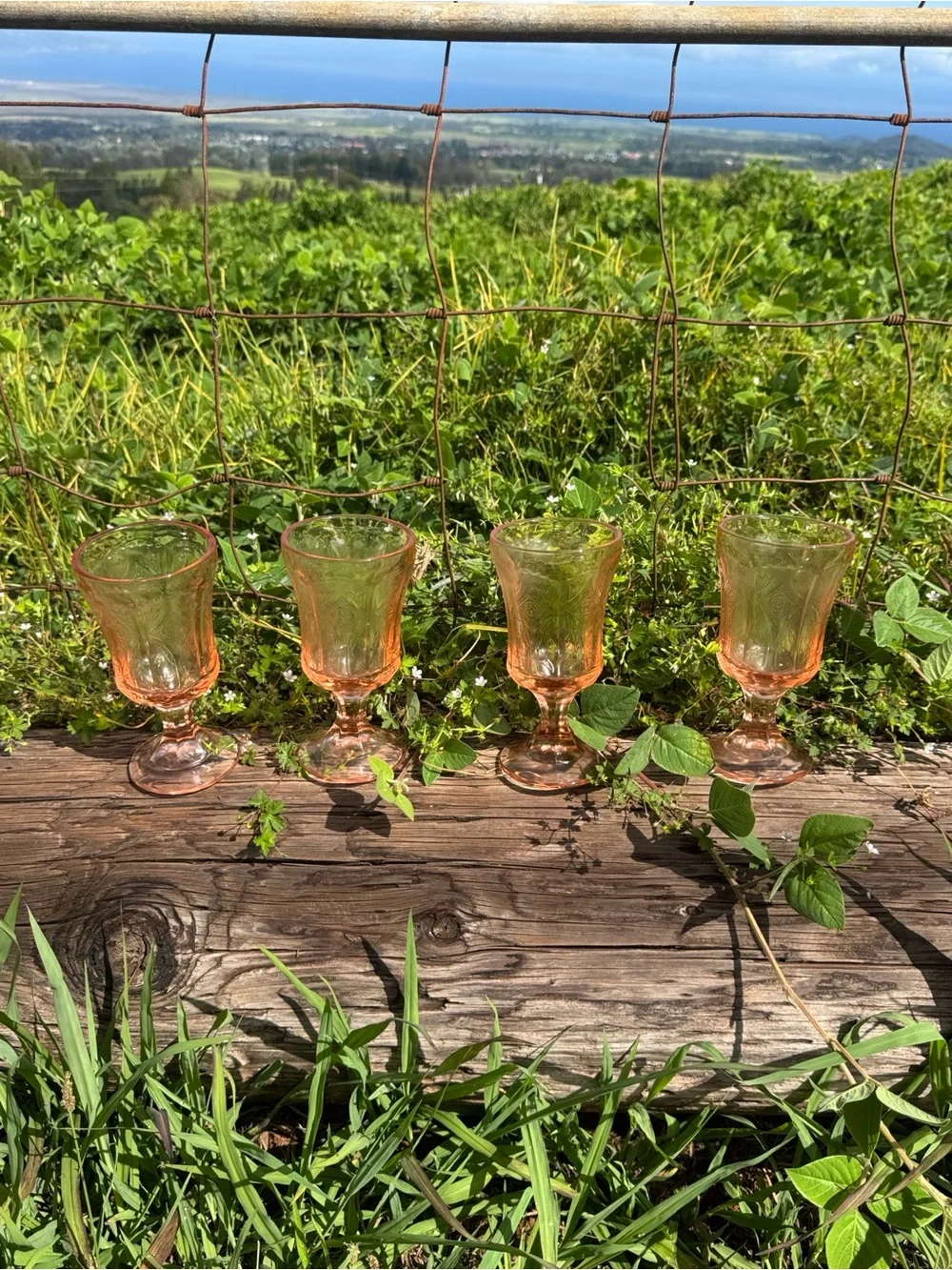 New Vintage Indiana Glass Company 4 PINK Footed Madrid Glasses Gobblet Cottage